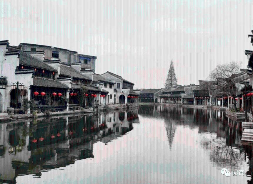 水果时尚风格